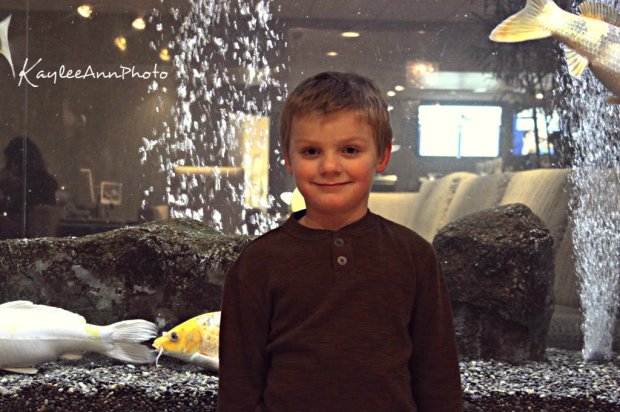 arti045_zpse90358f9fhggh_zps2d3c4fecyyy_zpsdc495cb7